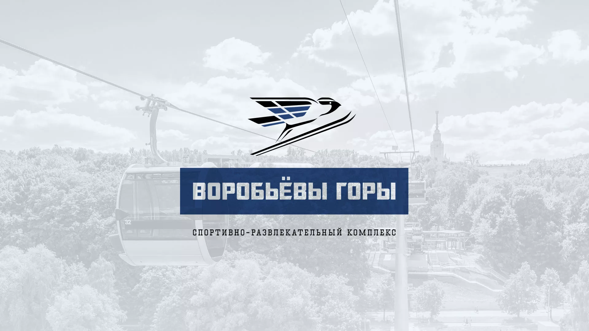 Разработка сайта в Мещовске для спортивно-развлекательного комплекса «Воробьёвы горы»