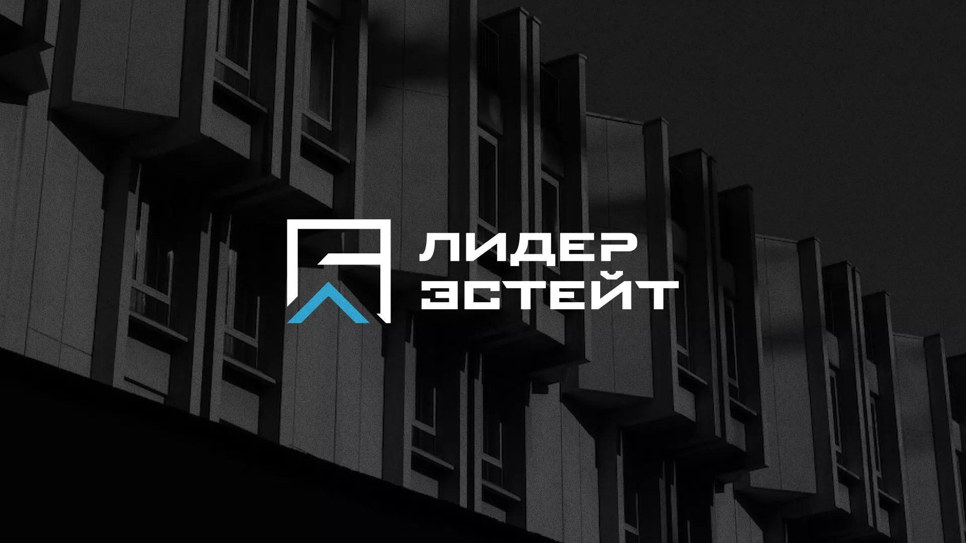 Разработка логотипа агентства недвижимости «Лидер Эстейт» в Мещовске